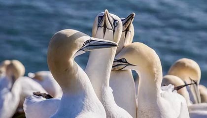 乒乓球亚洲杯：王楚钦3-1击败冯翊新收获两连胜